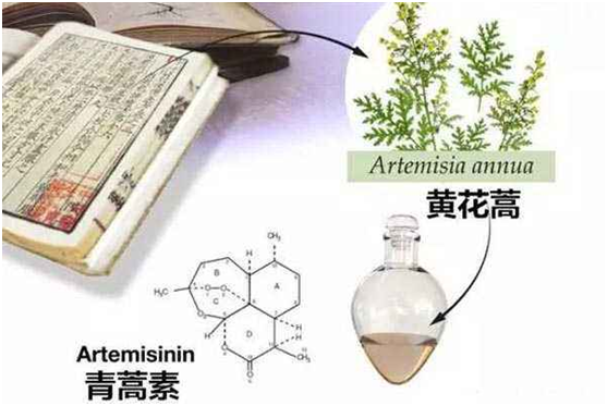 宝威体育·(中国)官方网站,：向中医药看齐，与世界共享中医药文化(图1)